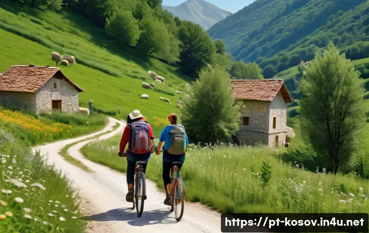 7 Dicas Essenciais para Fazer Voluntariado em Kosovo e Transformar Vidas 4 코소보에서 자원봉사 하기 관련 이미지 2
